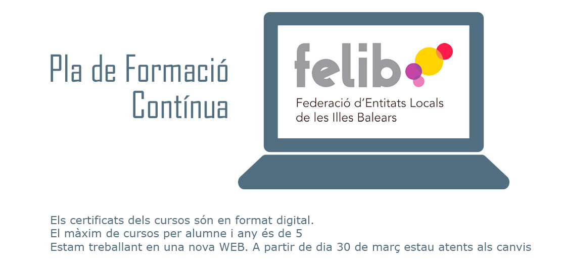 PLA DE FORMACIÓ CONTÍNUA